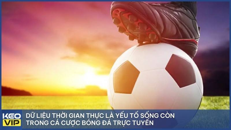 Dữ liệu thời gian thực là yếu tố sống còn trong cá cược bóng đá trực tuyến.